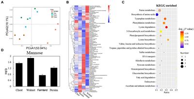 Insights into the mechanisms of microbiome and metabolome changes mediated by understory interplanting mode in Polygonatum sibiricum